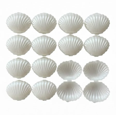 Boîtes coquillage
